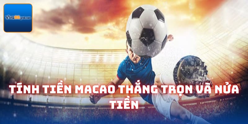 Tình tiền theo thắng toàn phần và một nửa